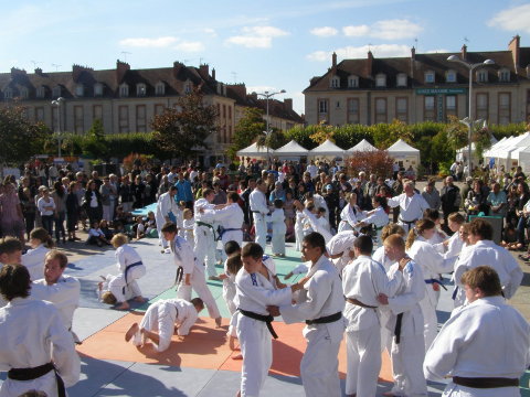 Judokas zeigen Ihr Können